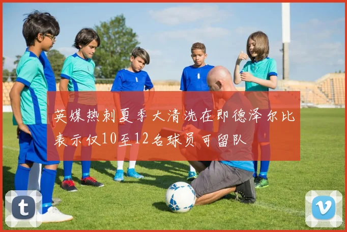 英媒热刺夏季大清洗在即德泽尔比表示仅10至12名球员可留队